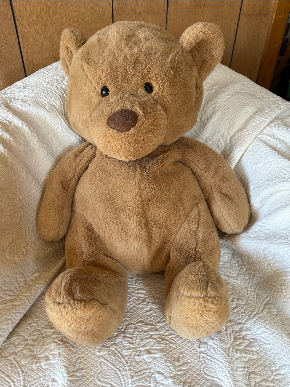 Animal Adventure 24” teddy bear, soft stuffed animal